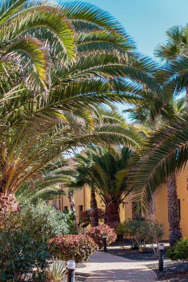 Fuerteventurapartments Corralejo Esterno foto