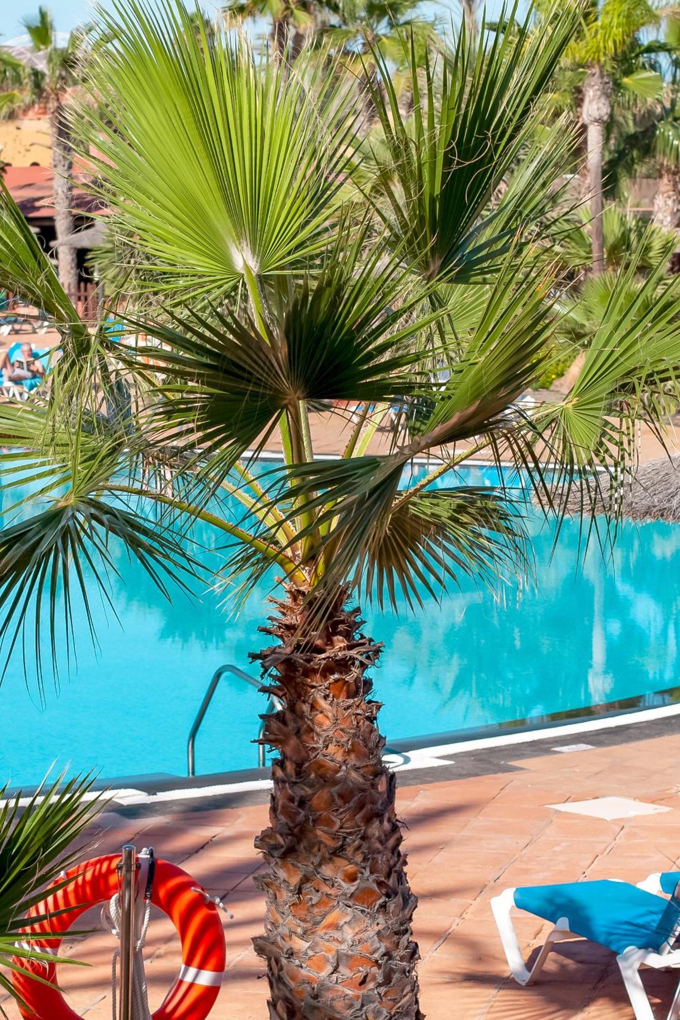 Fuerteventurapartments Corralejo Esterno foto